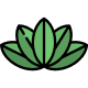 Green lotus icon representing wellness
